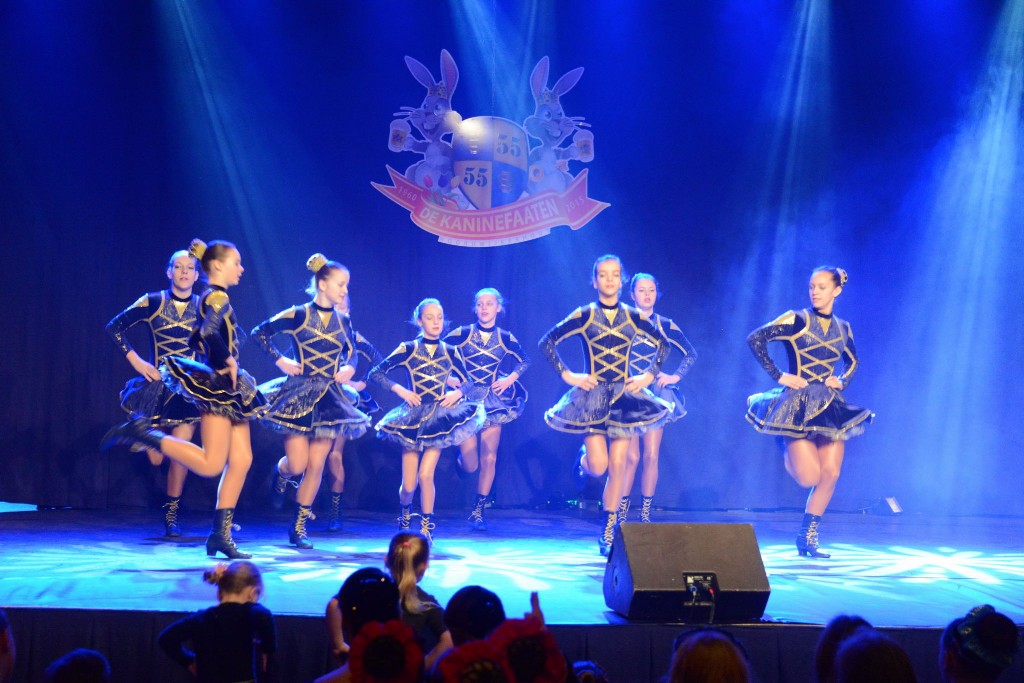 ../Images/Dansmarieke festival 2015 149.jpg